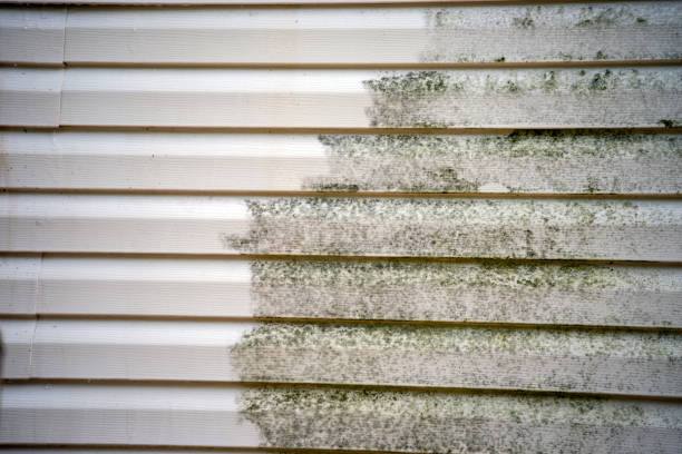 Best Custom Siding Design  in Montague, CA