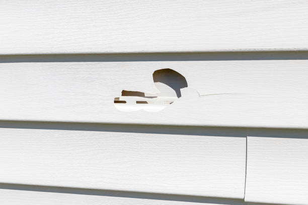 Best Aluminum Siding Installation  in Montague, CA