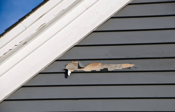 Best Residential Vinyl Siding Installation  in Montague, CA